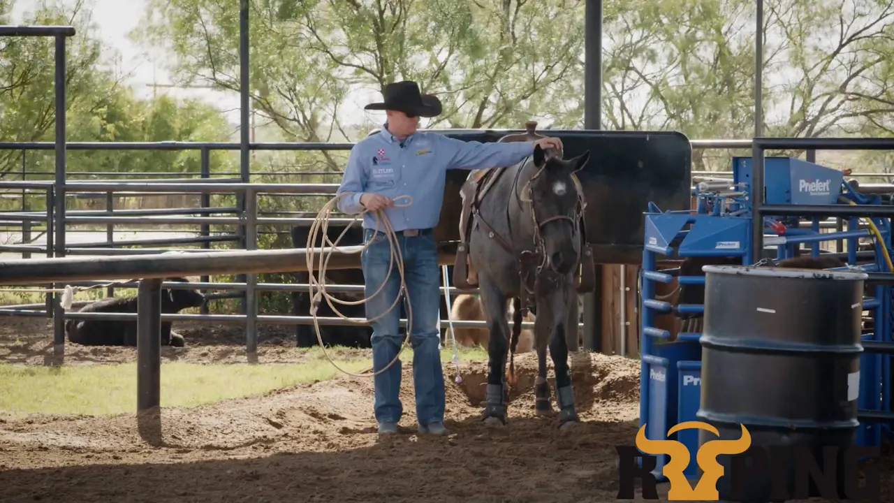 Teaching a Horse to Work the Rope with Two Ropes - Roping․com