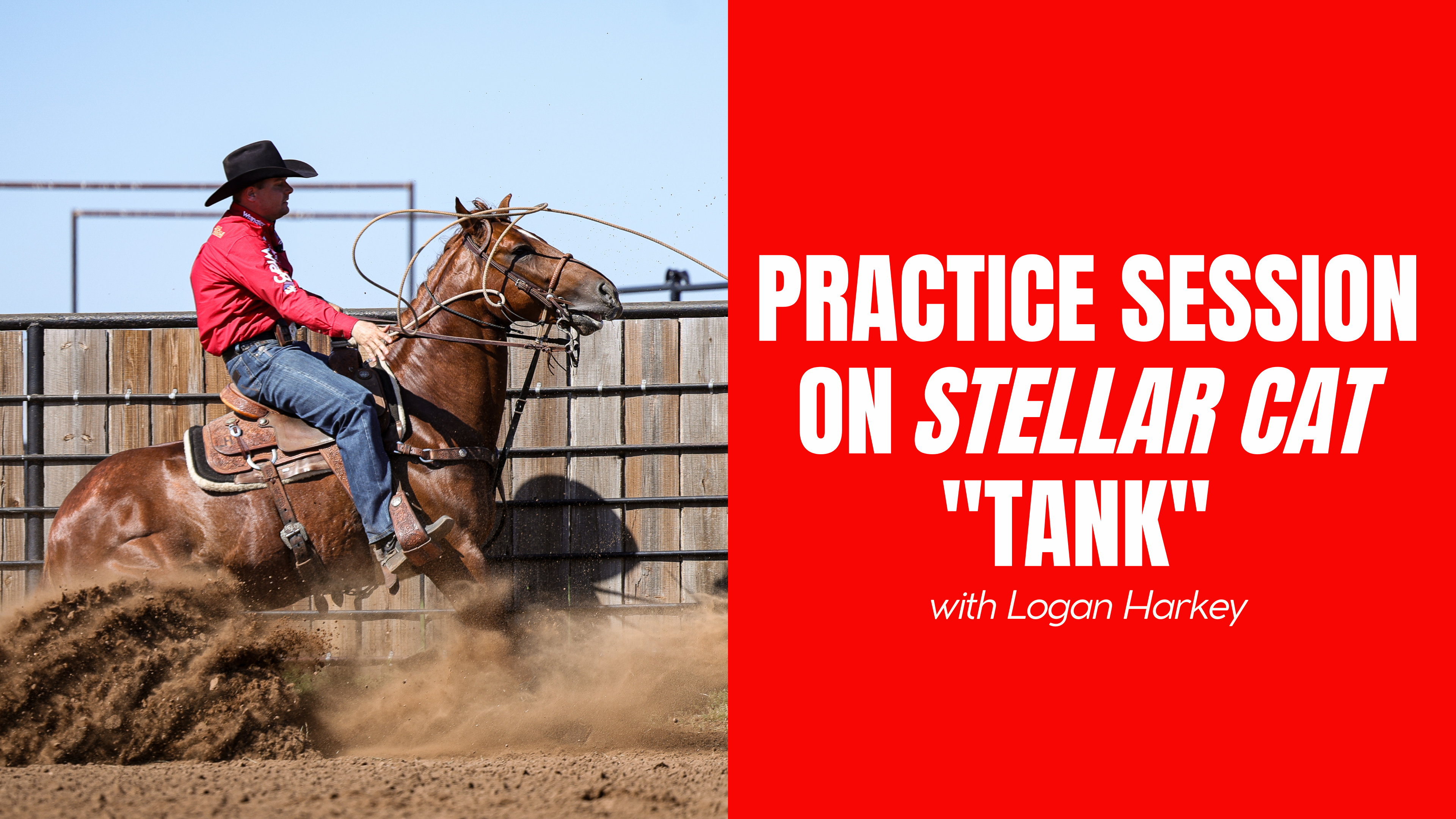 Practice Session on Stellar Cat "Tank" 