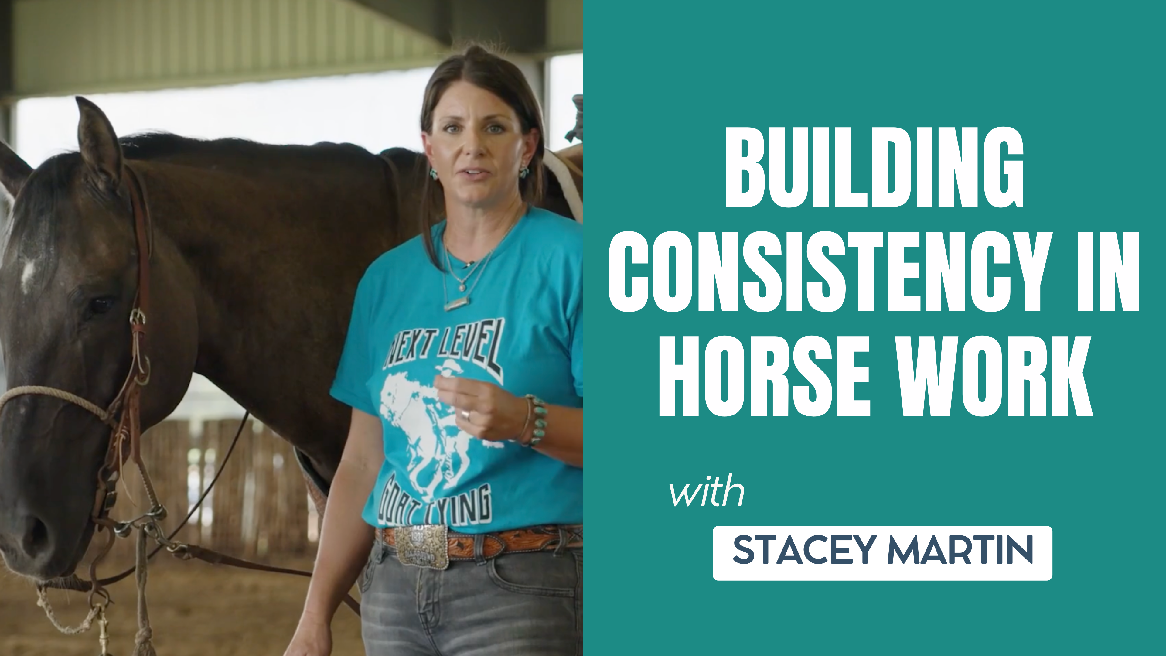 Building Consistency in Horse Work