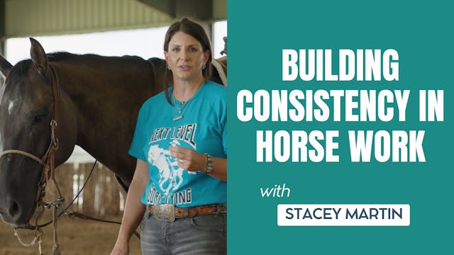 Building Consistency in Horse Work