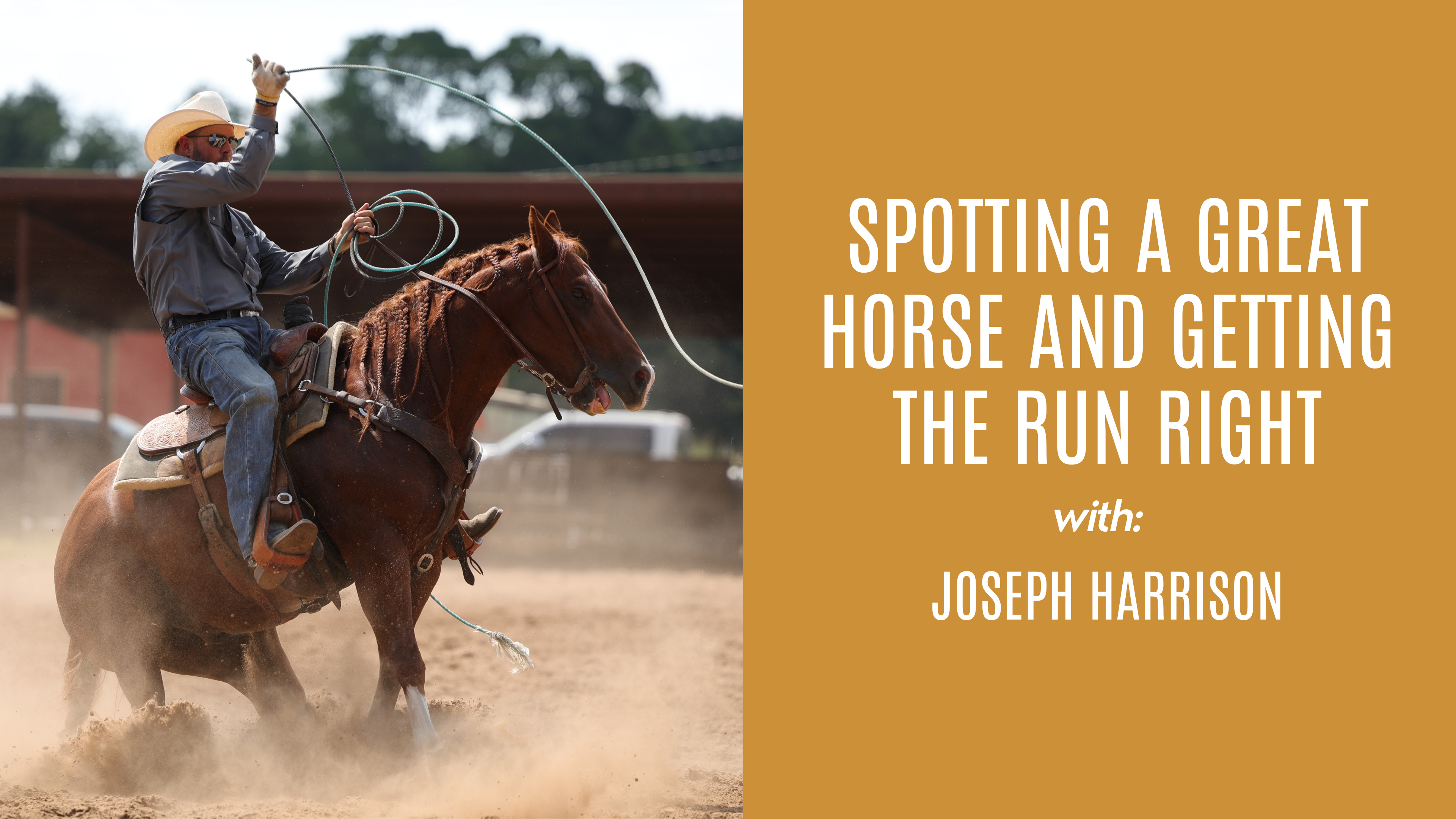 Joseph Harrison: Spotting a Great Horse and Getting the Run Right
