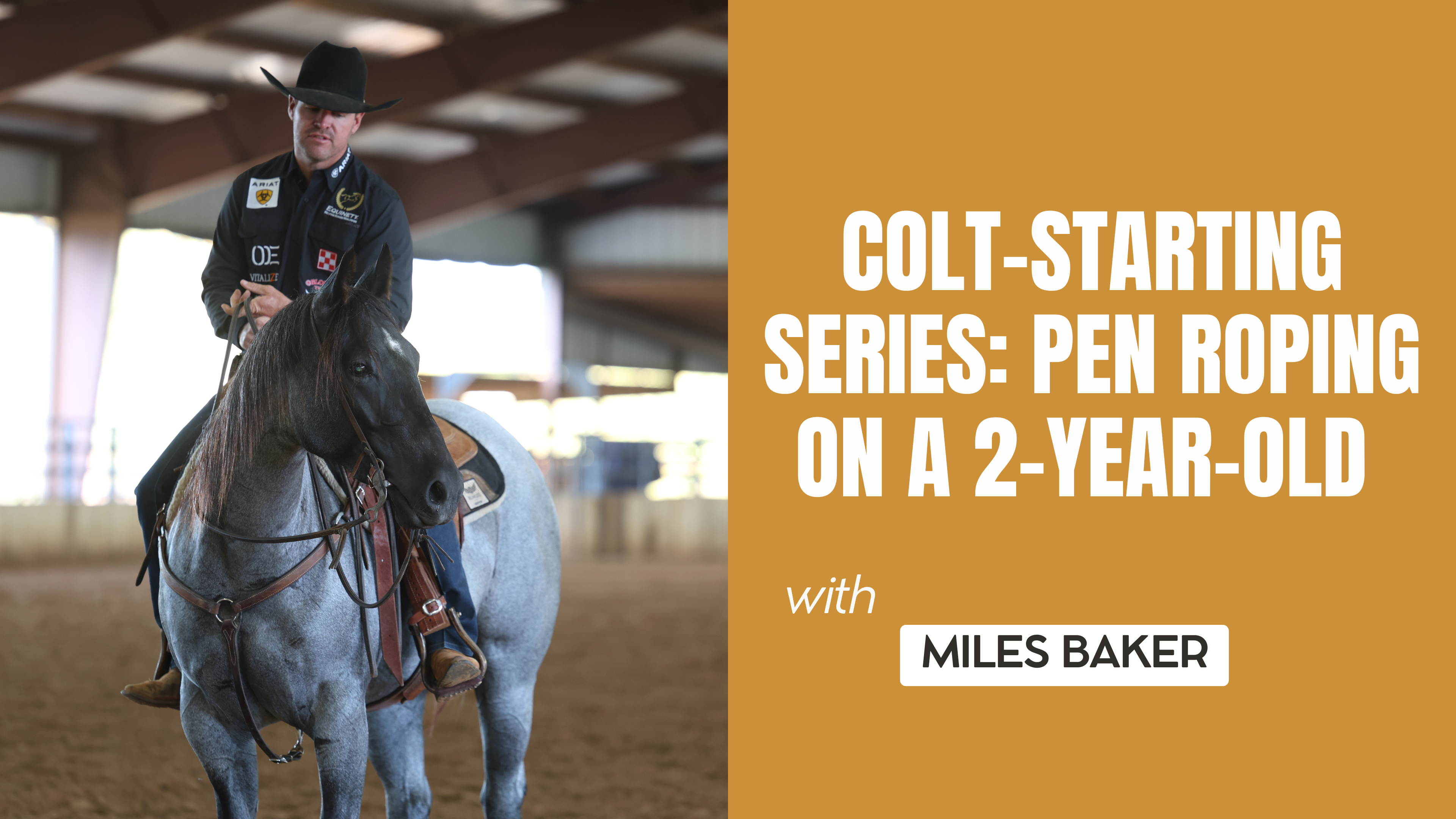Colt-Starting Series: Pen Roping on a 2-Year-Old 