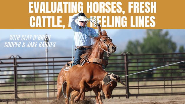 Evaluating Horses, Fresh Cattle, and ...