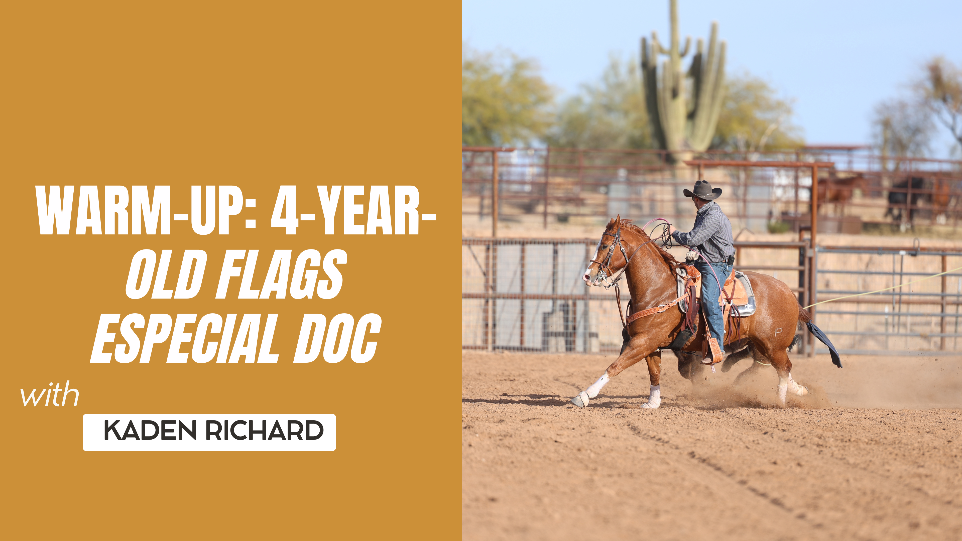 Warm-Up: 4-Year-Old Flags Especial Doc