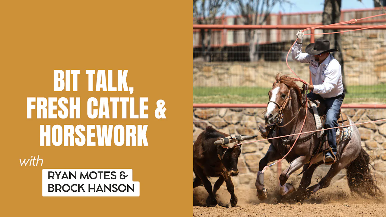 Bit Talk, Fresh Cattle & Horsework with Ryan Motes & Brock Hanson ...