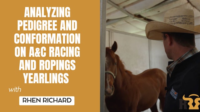 Analyzing Pedigree and Conformation on A&C Racing and Ropings Yearlings