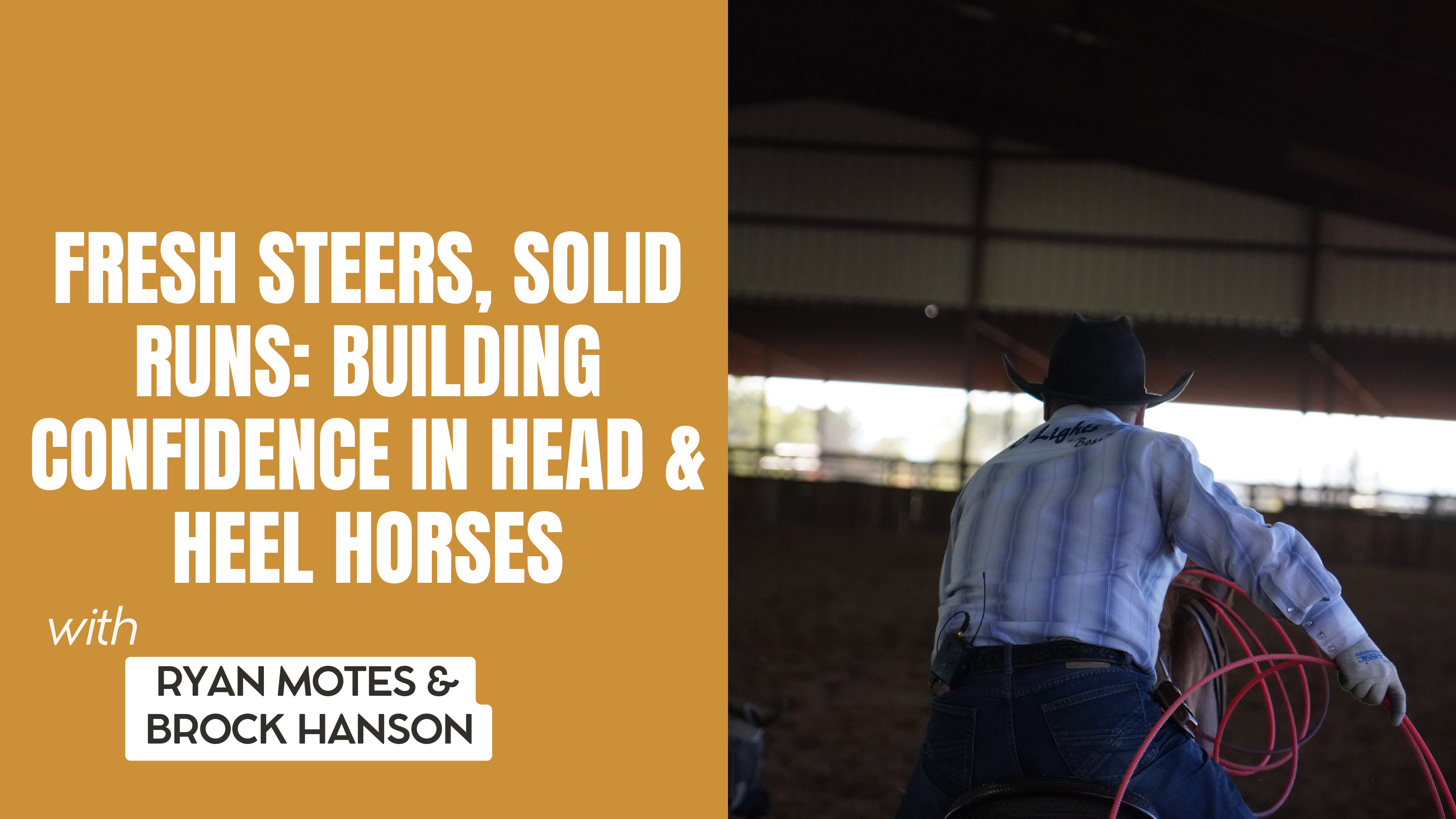 Fresh Steers, Solid Runs: Building Confidence in Head & Heel Horses