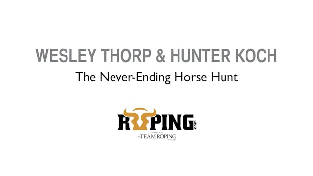 The Never-Ending Horse Hunt