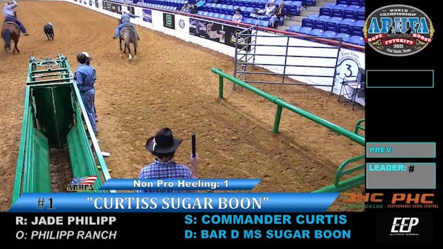 2021 ARHFA Futurity Non Pro Heeling R...