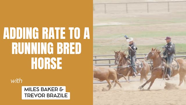 Adding Rate to a Running Bred Horse