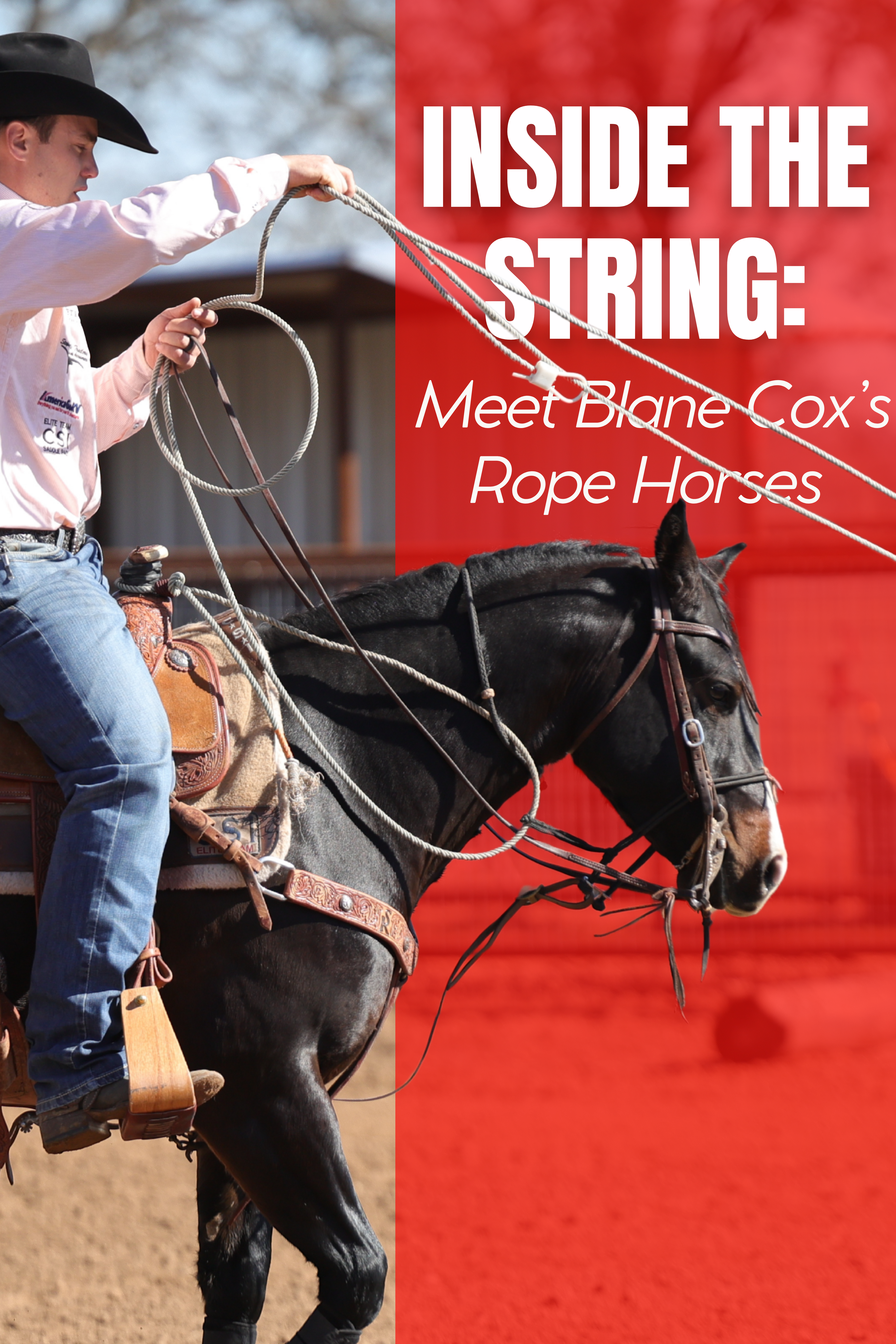 Inside the String: Meet Blane Cox’s Rope Horses