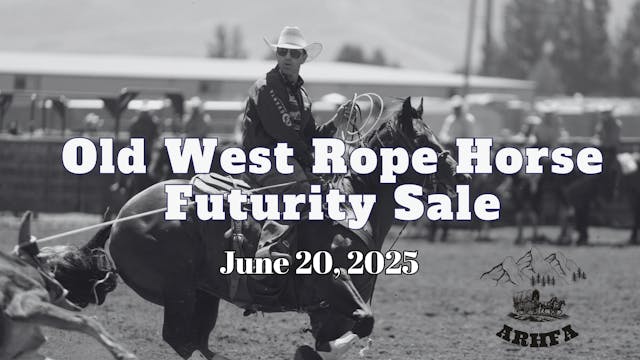 Old West Rope Horse Futurity Sale | J...
