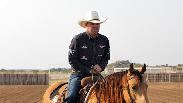 Colt-Starting Series: When to Start Loping