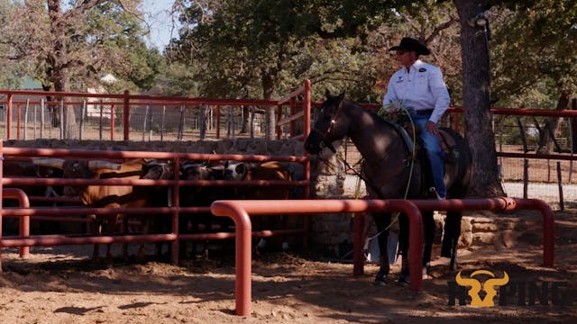 Solid Horse Practice Session w/ RayBa...