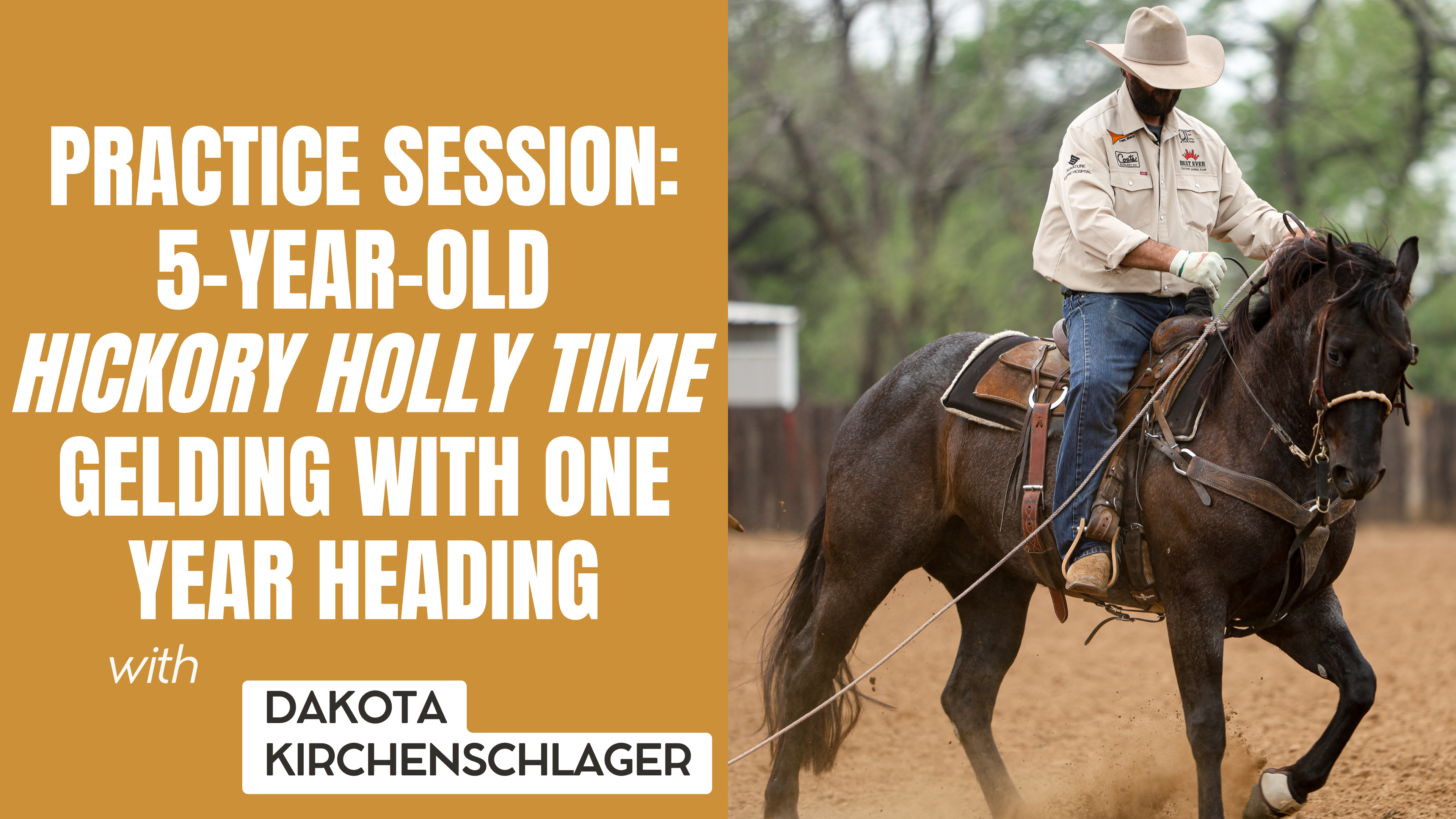 Practice Session: 5-Year-Old Hickory Holly Time Gelding with One Year Heading