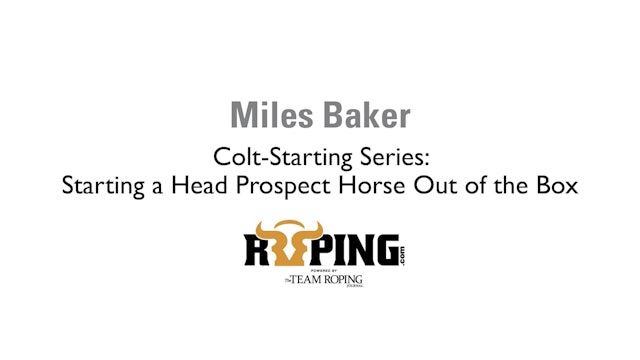 Colt-Starting Series: Starting a Head Prospect Horse Out of the Box