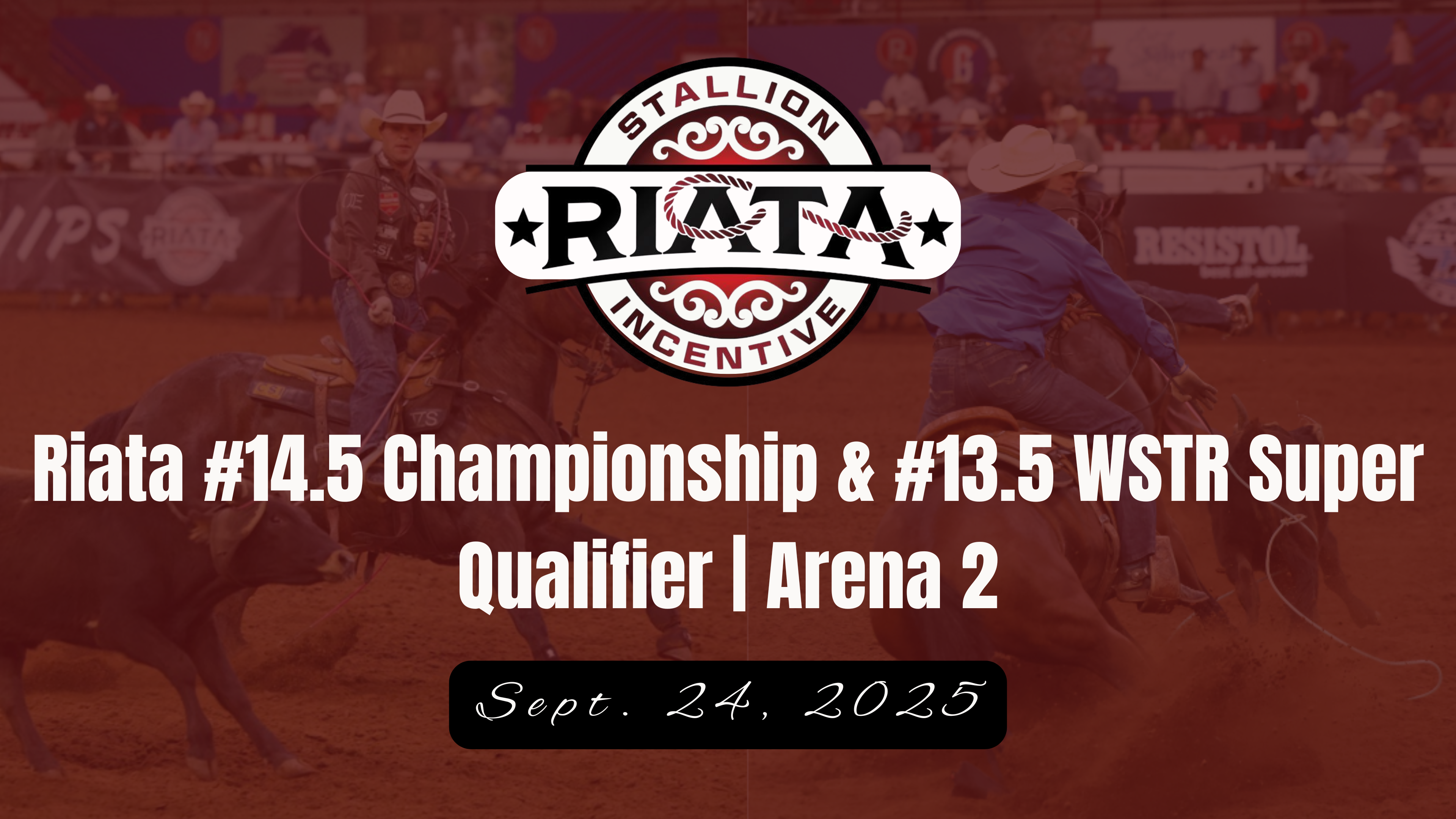 #14.5 Champ. & #13.5 WSTR Super Qual....