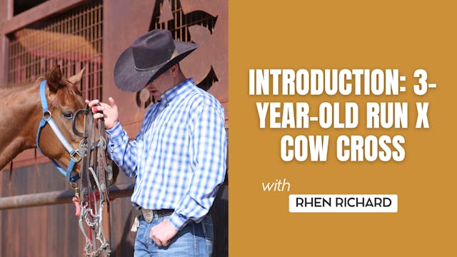 Introduction: 3-Year-Old Run x Cow Cross