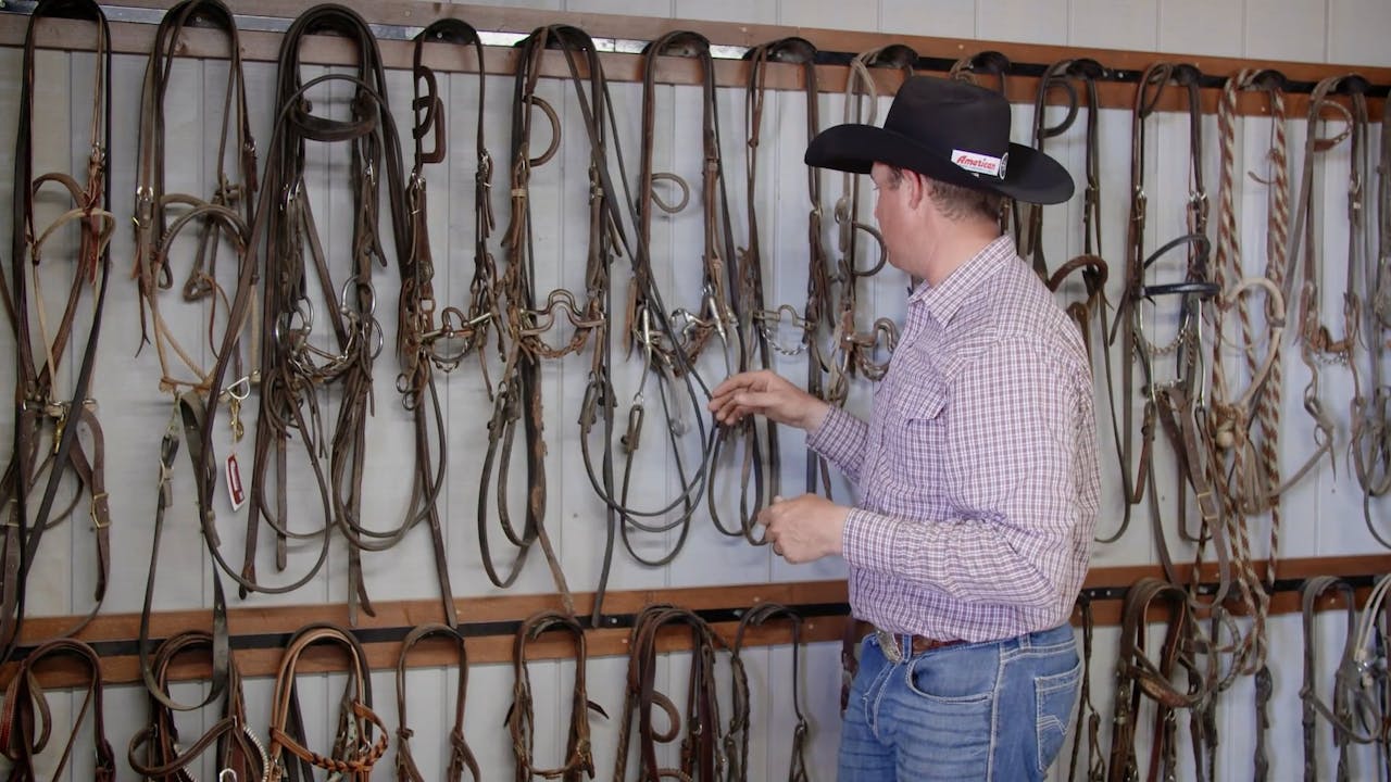 Bit Progression - Roping․com