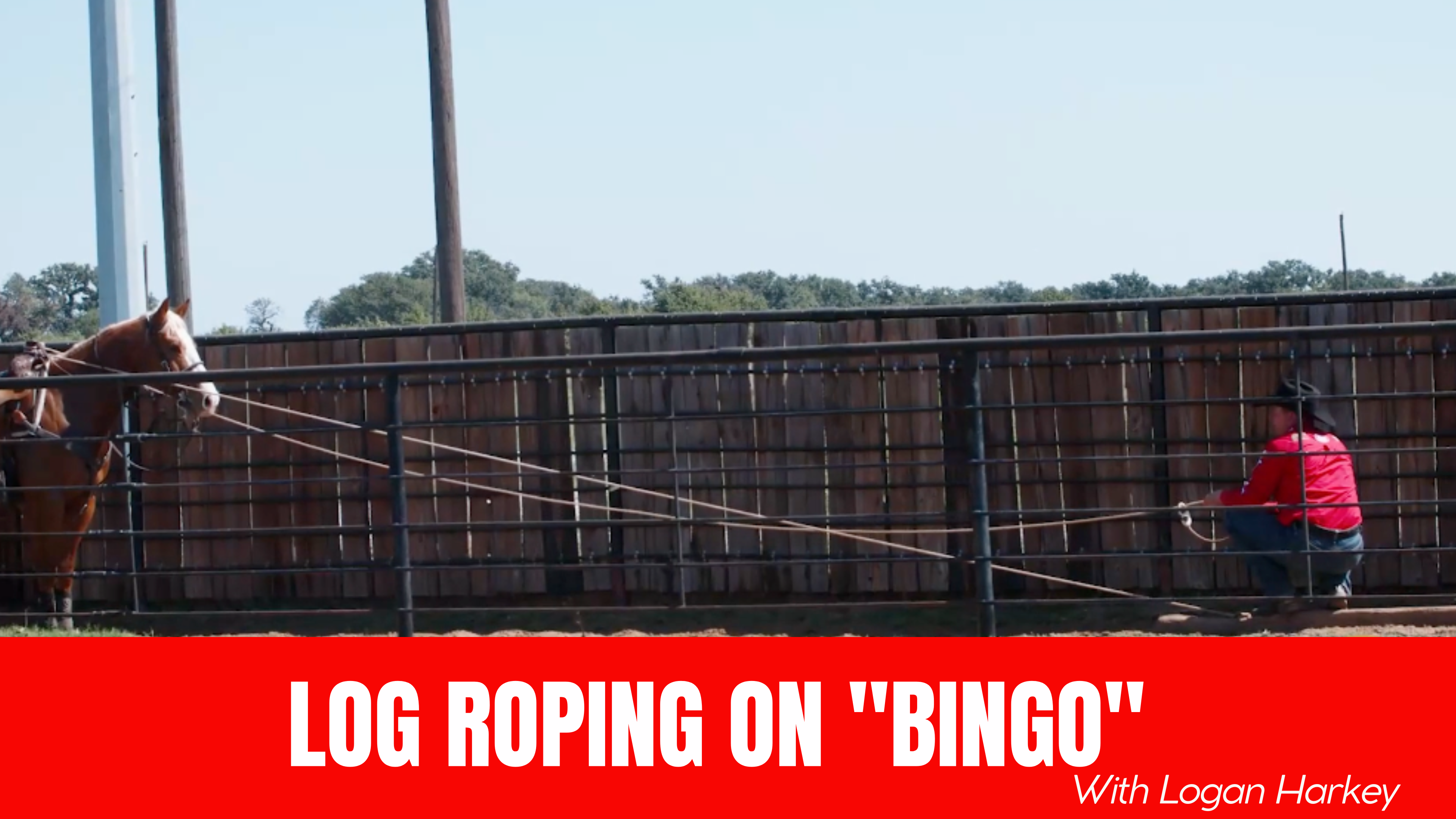 Log Roping On "Bingo" with Logan Harkey