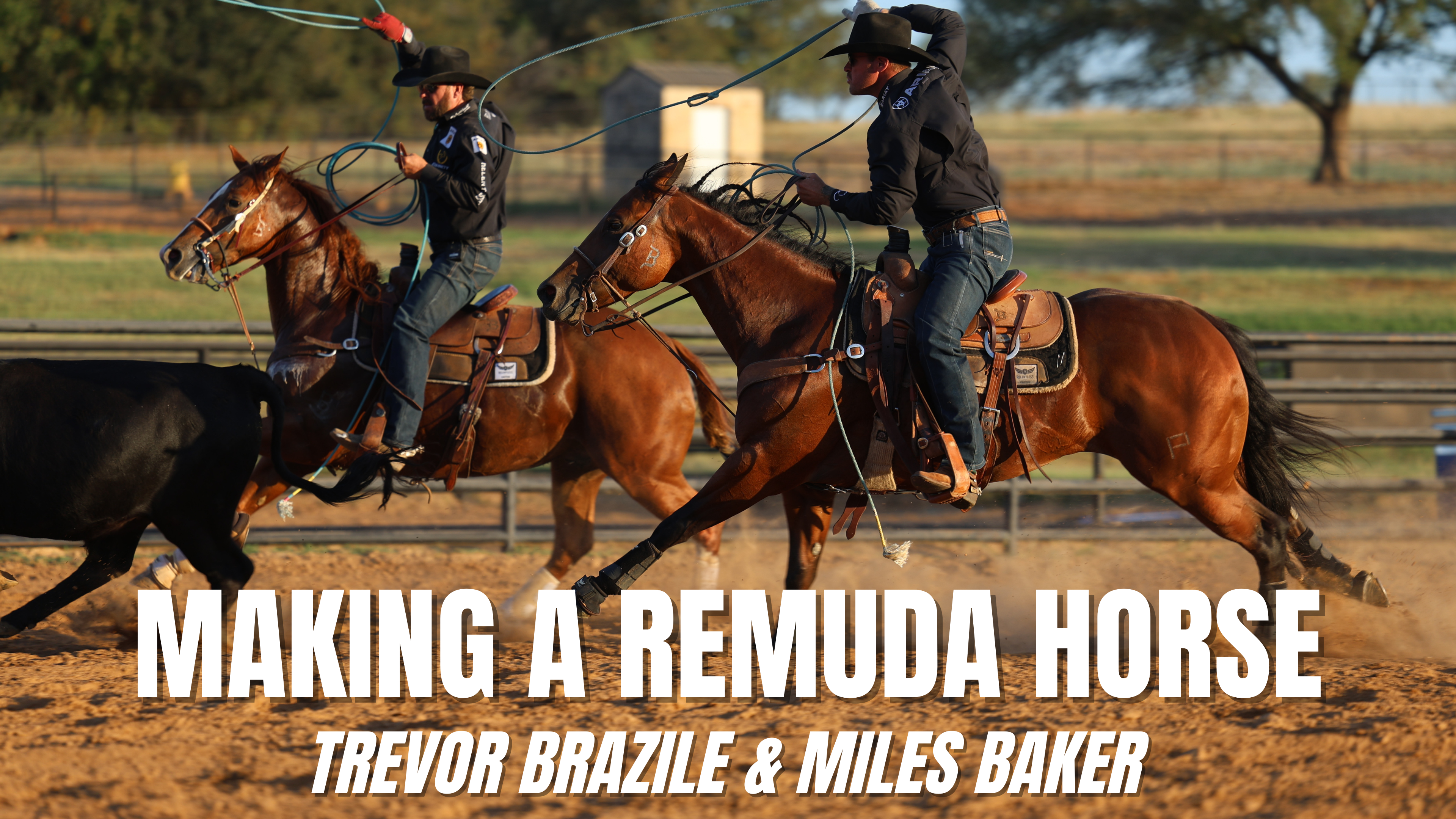 Making a Remuda Horse