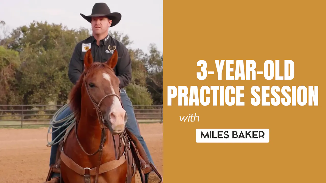 3-Year-Old Practice Session - Making a Remuda Horse - Roping․com