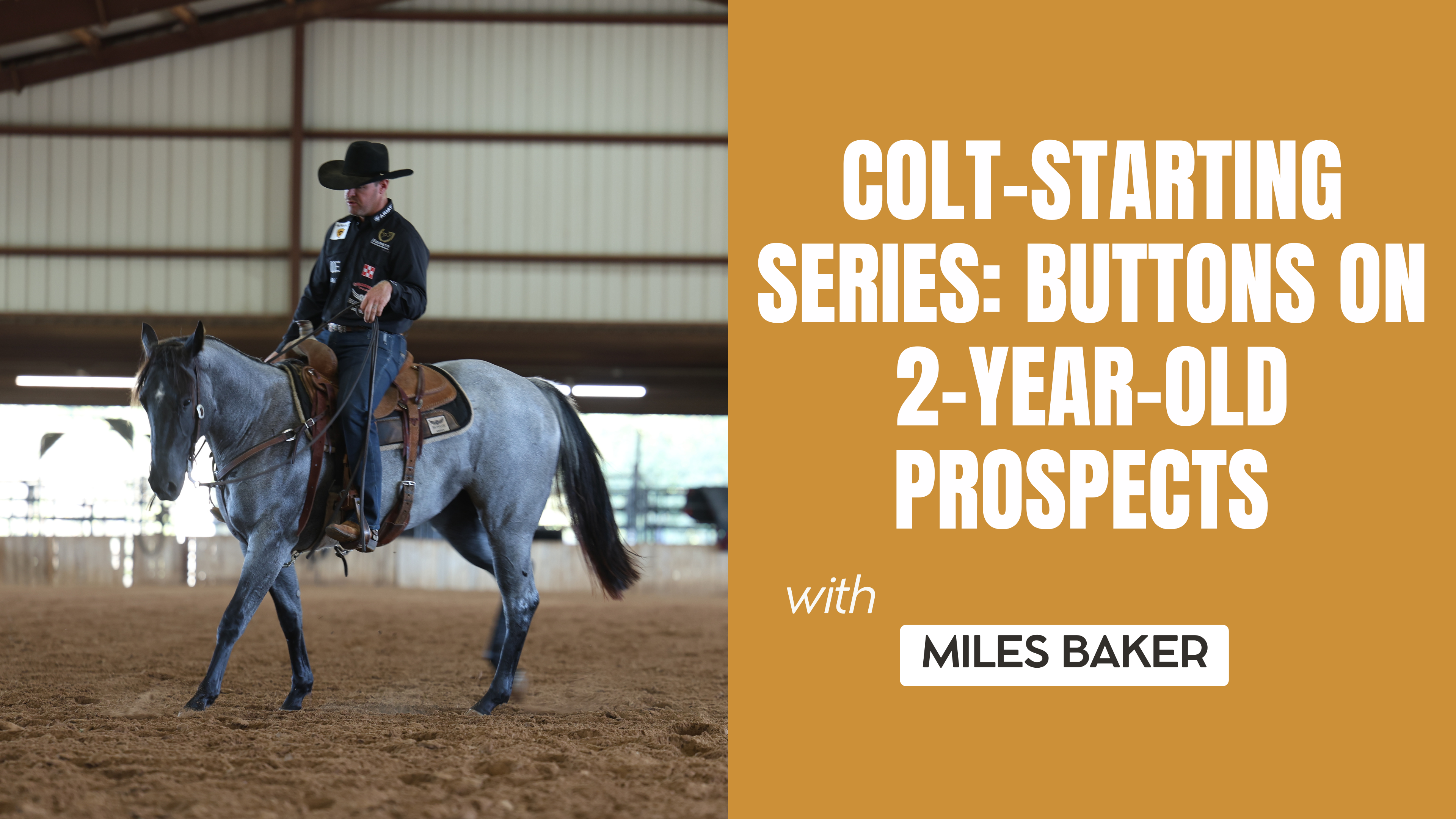 Colt-Starting Series: Buttons On 2-Year-Old Prospects