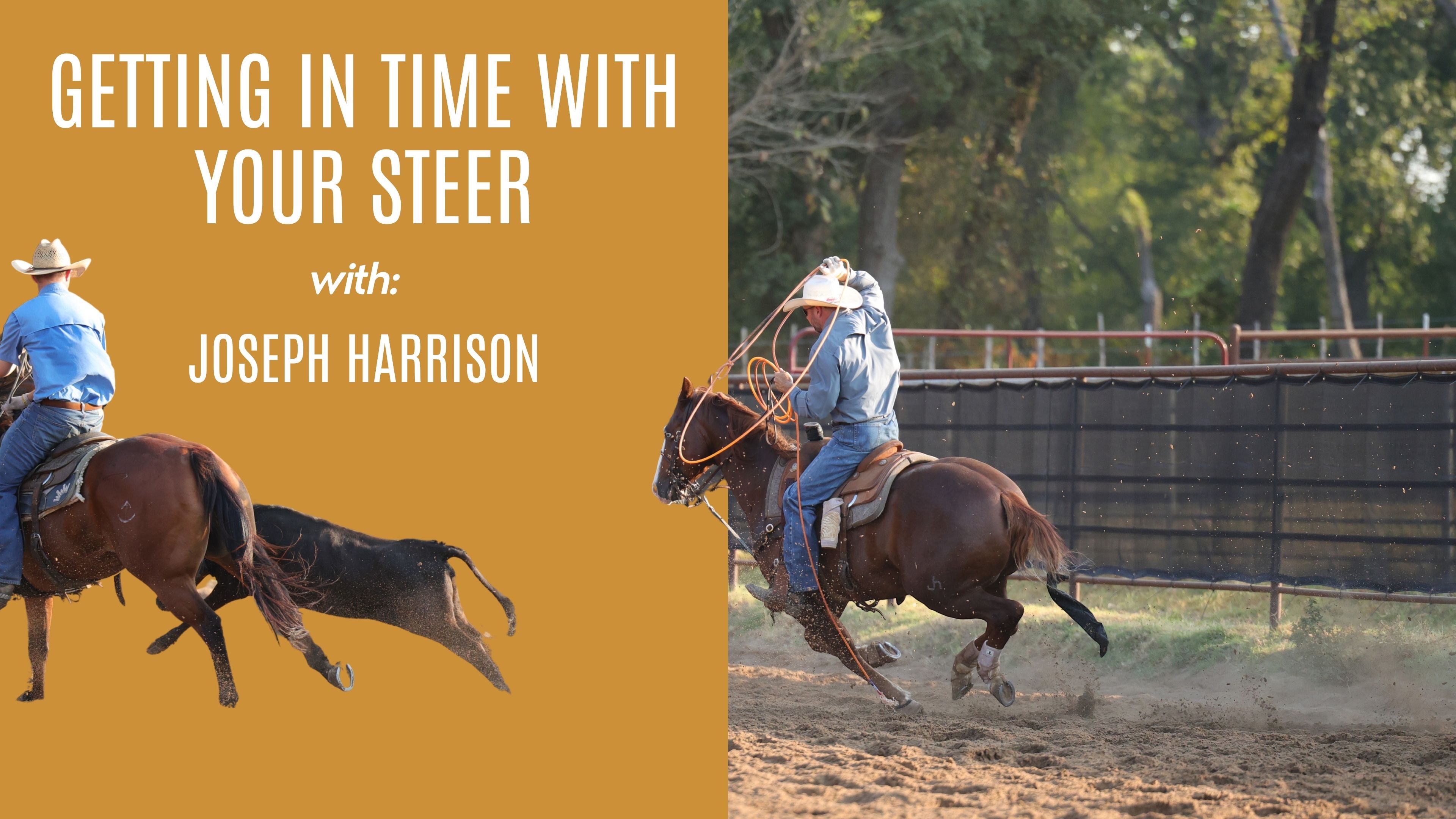 Joseph Harrison: Getting in Time With Your Steer