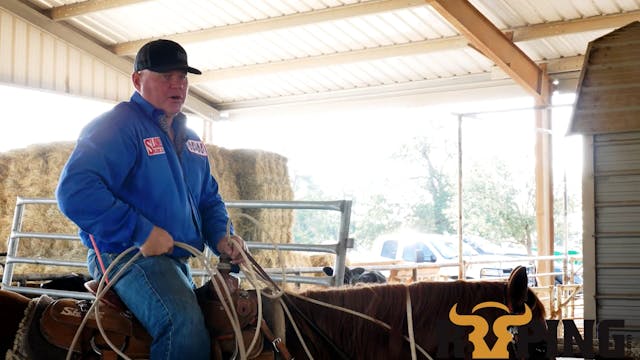 Scoring Needs on a Calf Horse