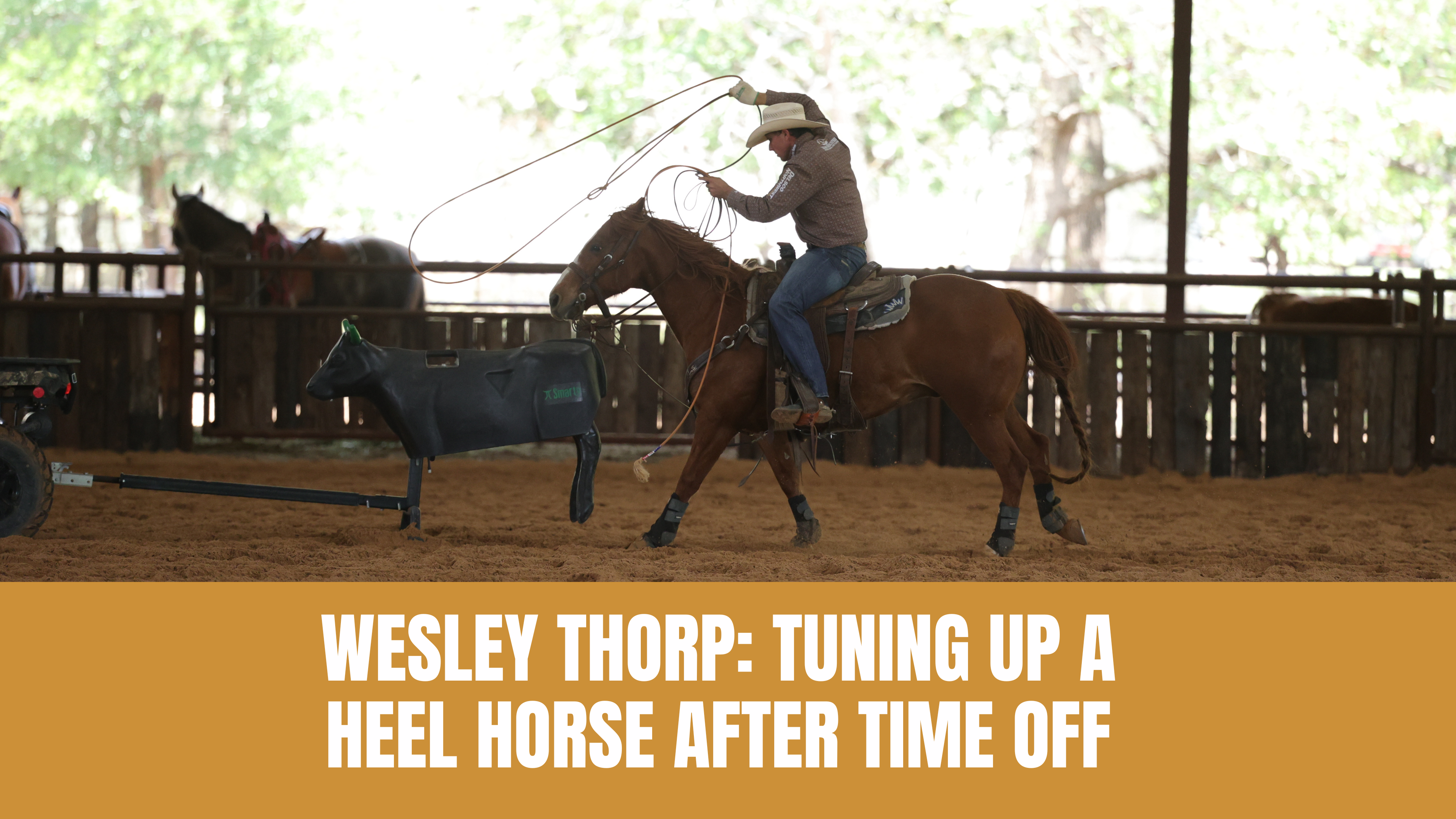 Wesley Thorp: Tuning Up a Heel Horse After Time Off