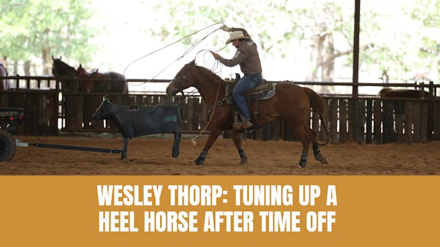 Wesley Thorp: Tuning Up a Heel Horse ...