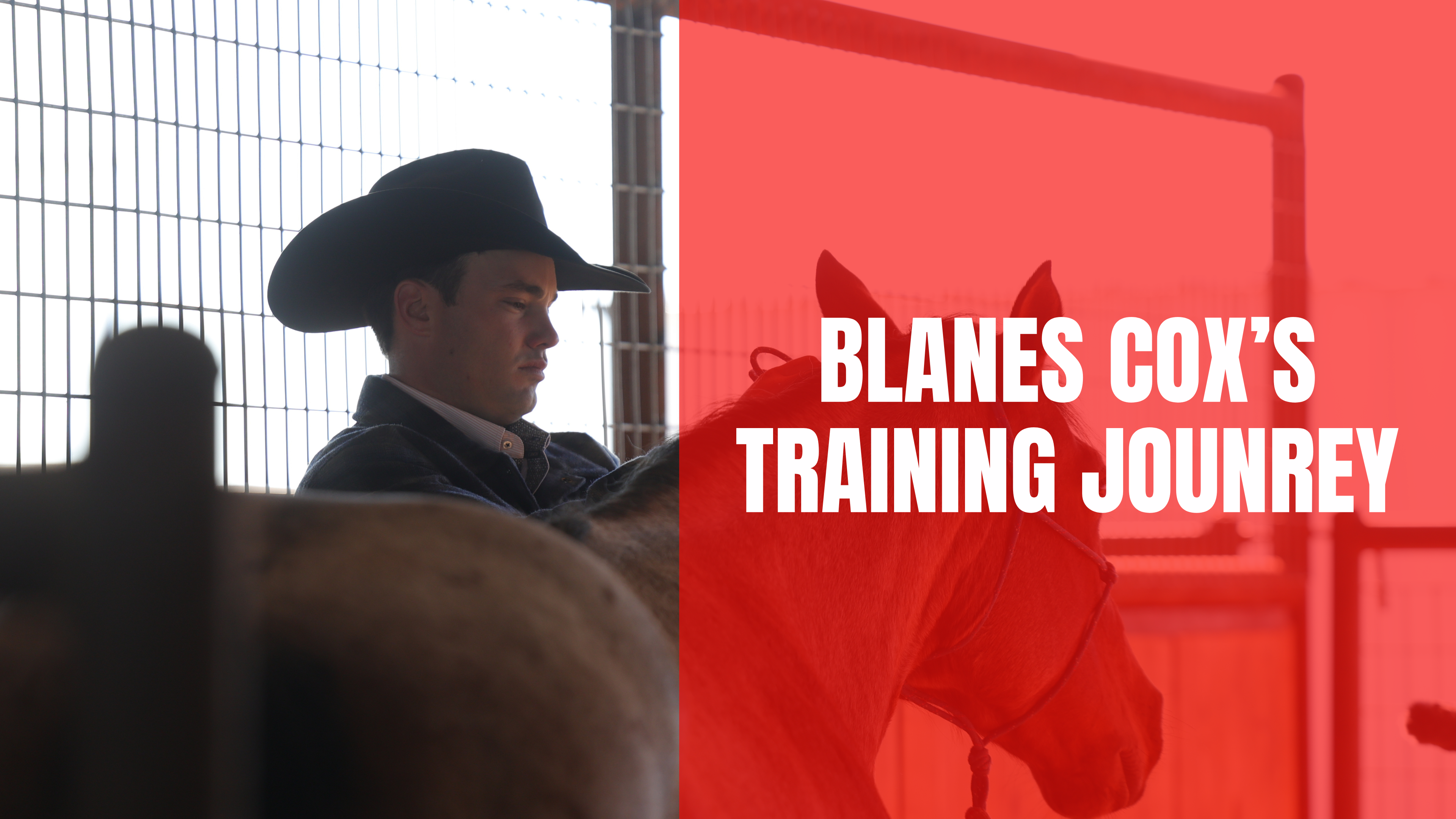 Blane's Training Journey