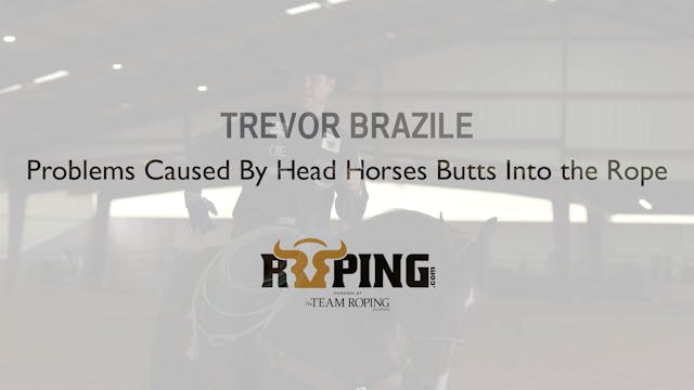 Problems Caused By Head Horses Butts ...