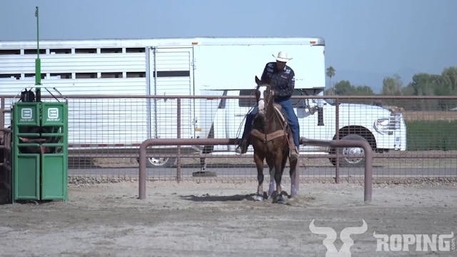 Horsemanship: Scoring Your Head Horse