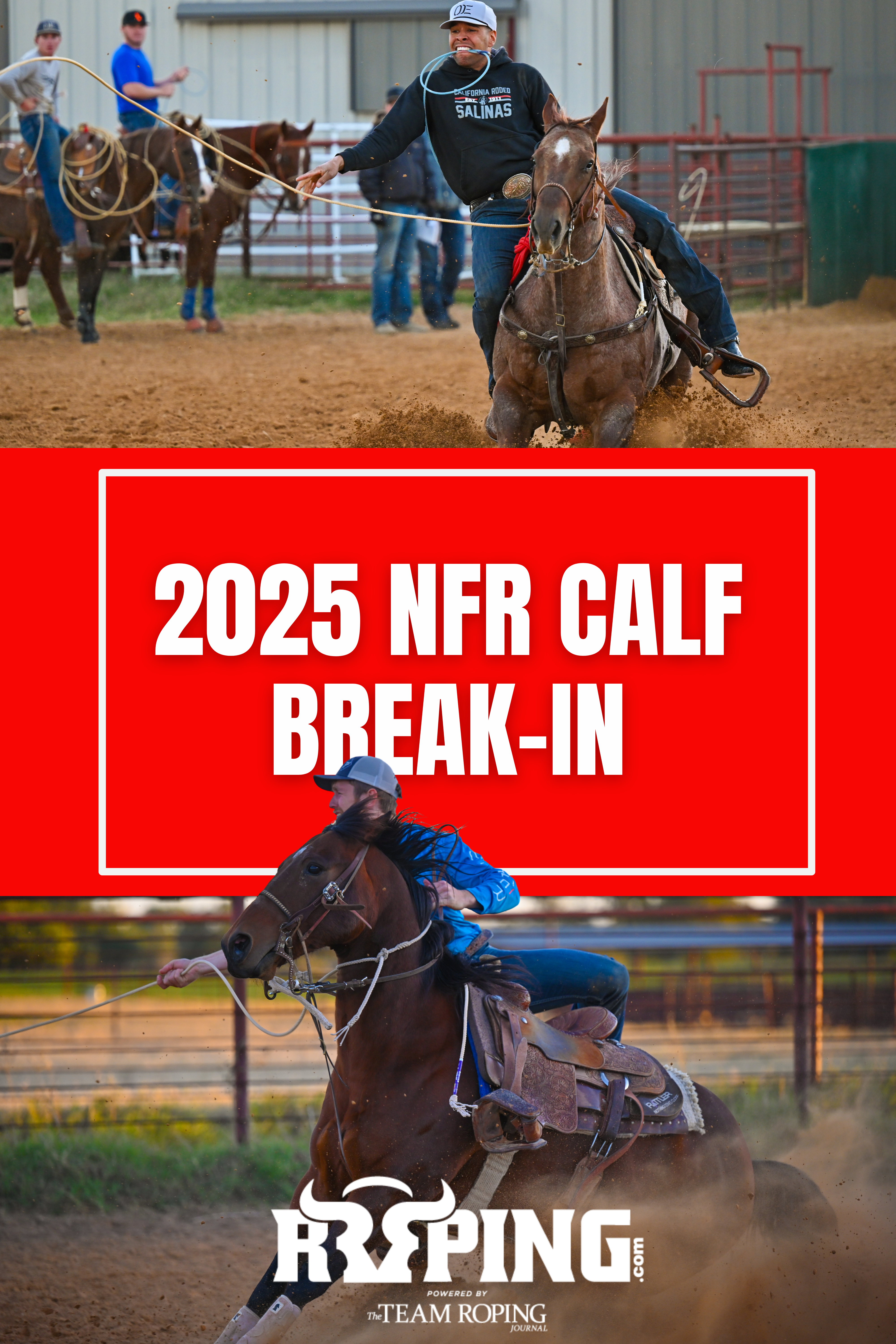 2025 NFR Calf Break-In