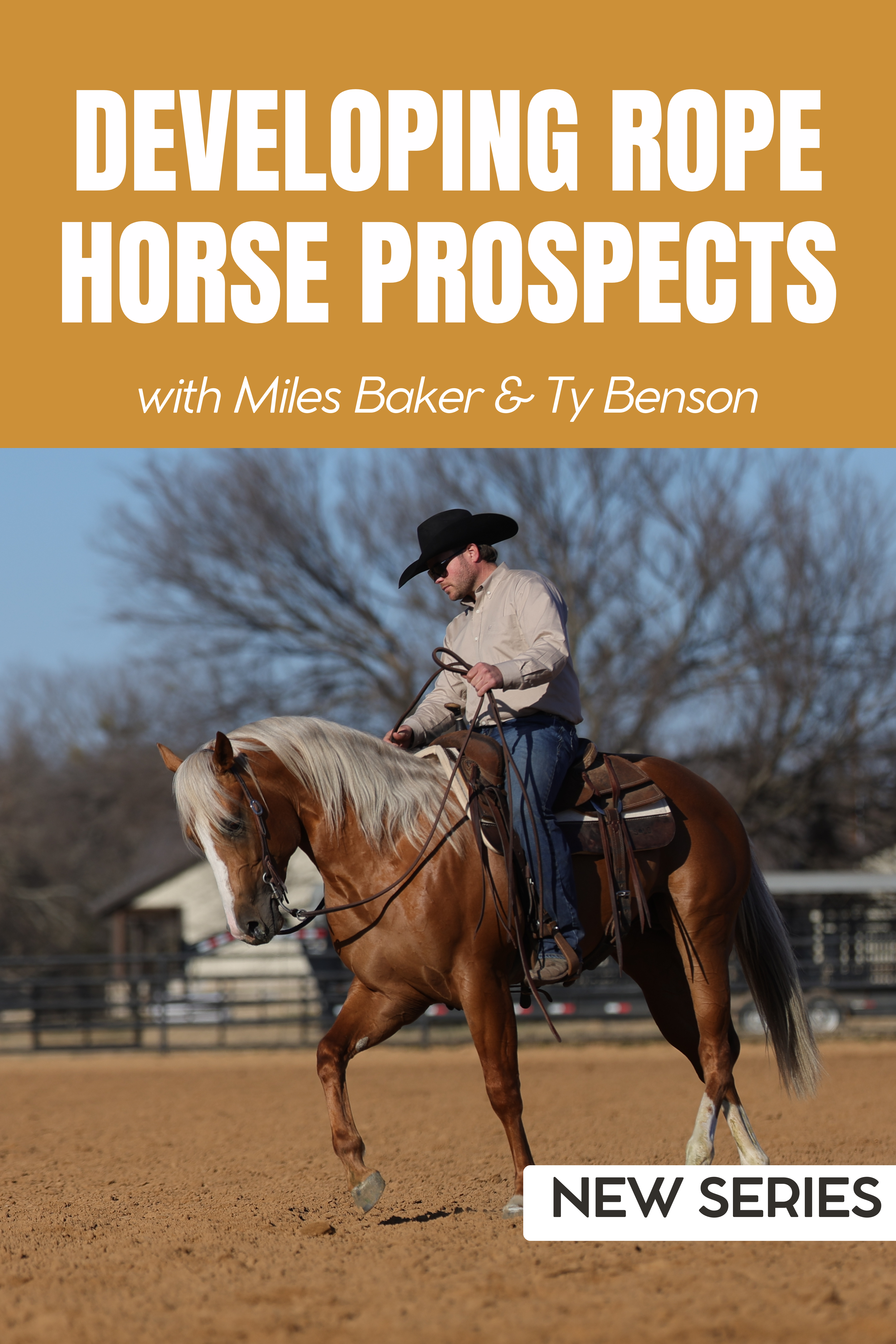 Developing Rope Horse Prospects with Miles Baker & Ty Benson