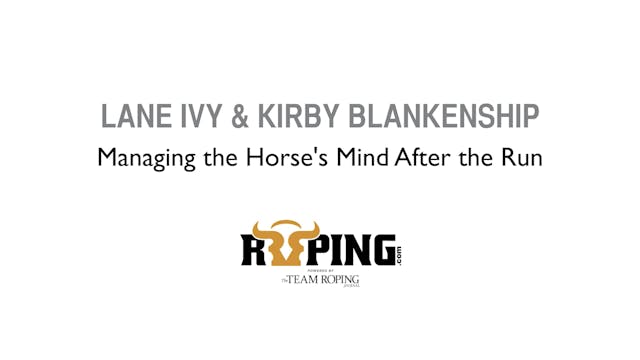Managing the Horse's Mind After the Run