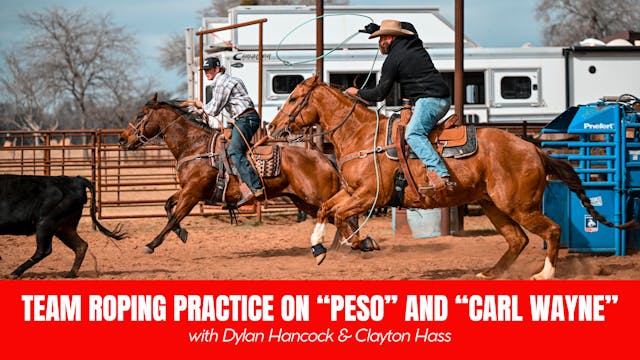 Team Roping Practice on Peso and Carl...
