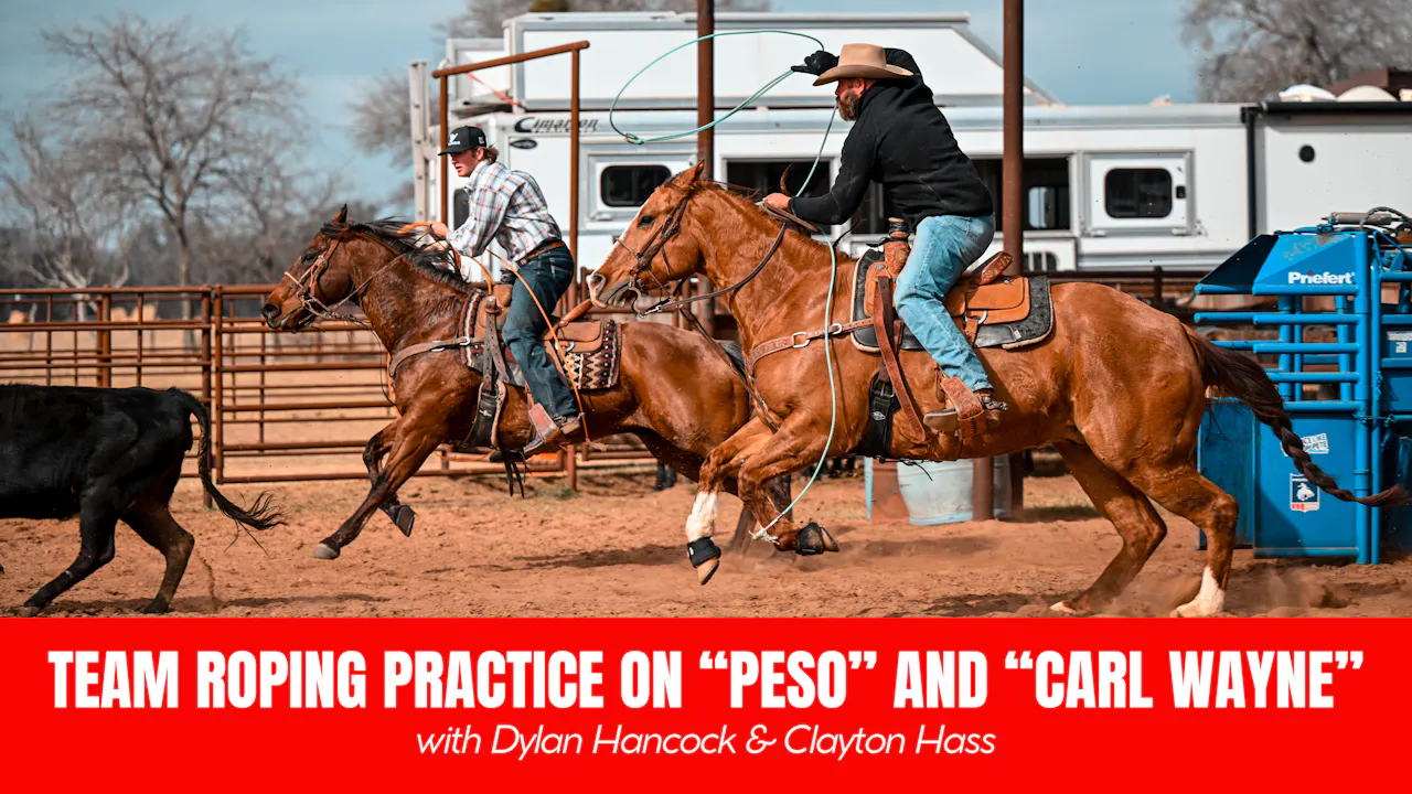 Team Roping Practice on Peso and Carl Wayne - Ironman Bound with ...