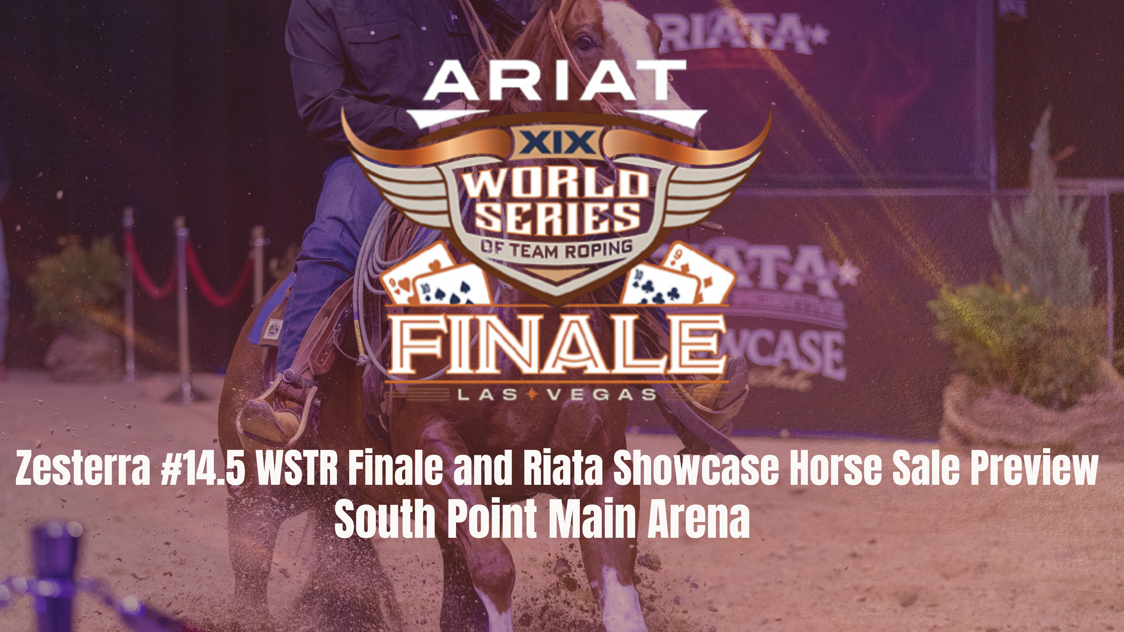 South Point Main Arena | Ariat WSTR Finale XIX | December 6, 2025