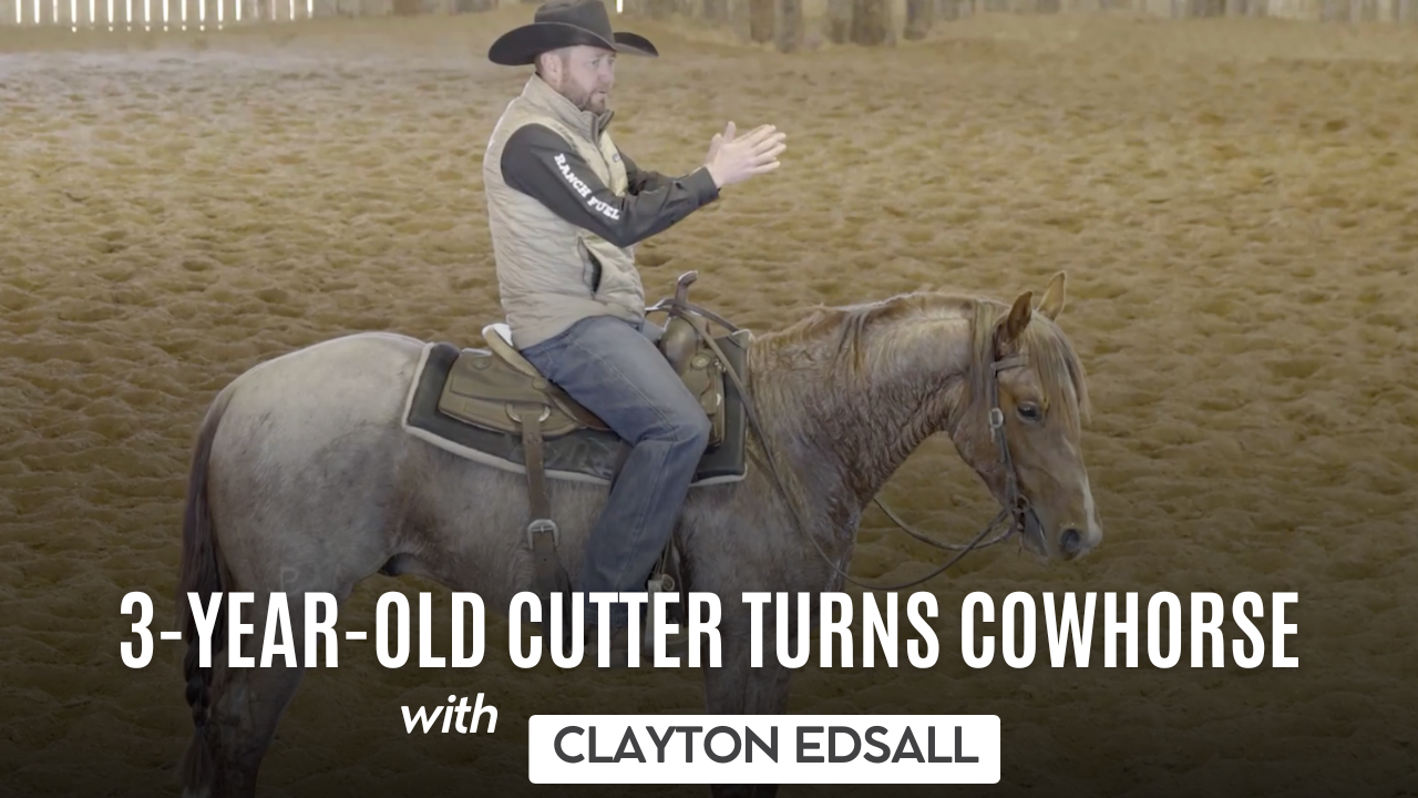 3-Year-Old Cutter Turns Cowhorse with Clayton Edsall