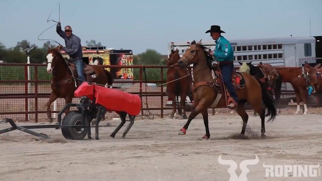 Pushing Your Horse Around The Corner ...