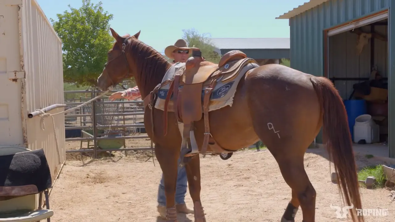 Roping 101: Basic Saddle Fit For The Rider - Roping․com