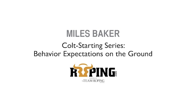 Colt-Starting Series: Behavior Expectations on the Ground