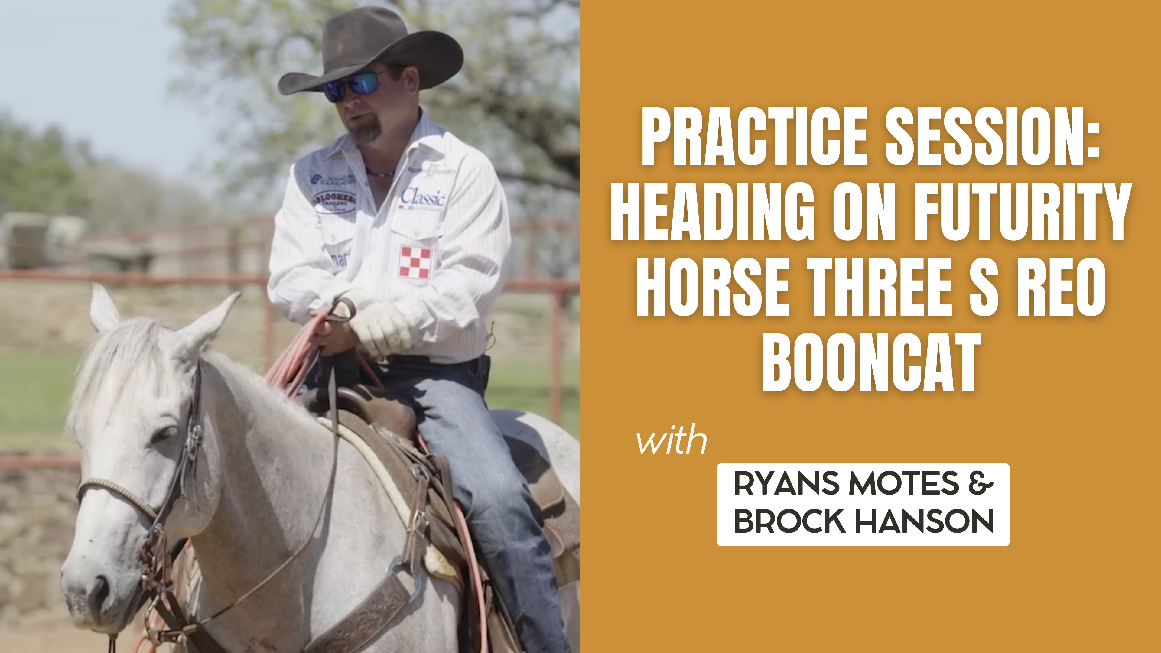 Practice Session: Heading on Futurity Horse Three S REO Booncat