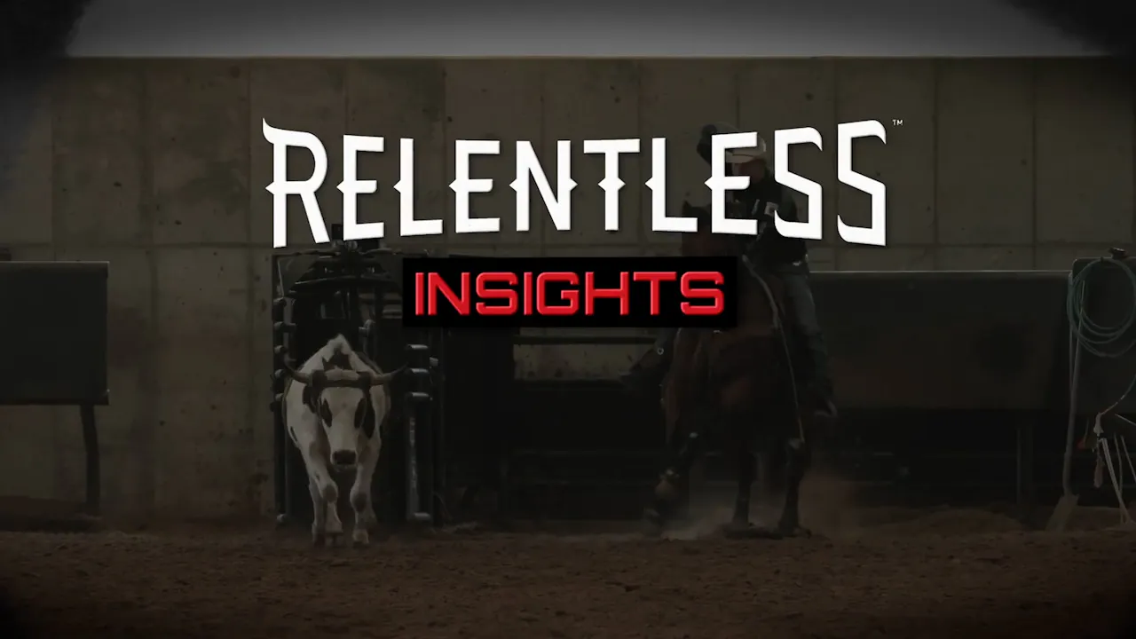 Inside the Remuda: Meet Yellowstone - Roping․com
