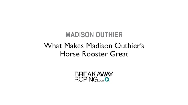What Makes Madison Outhier's Horse Rooster Great