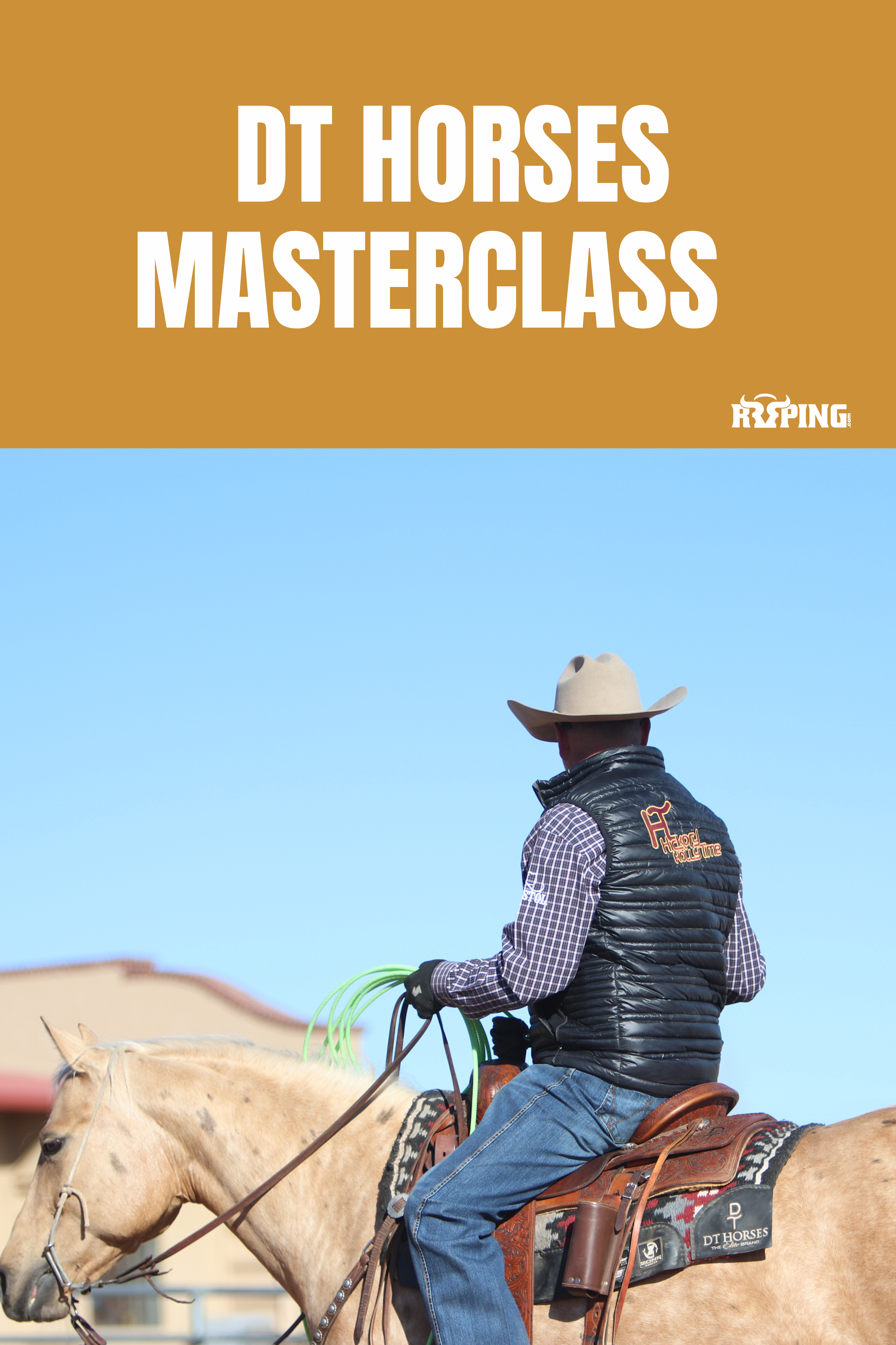 DT Horses Masterclass