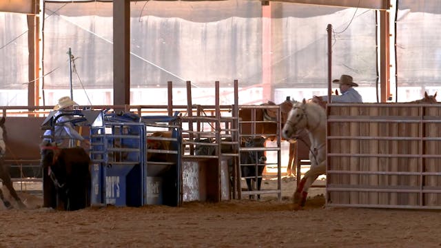 Bubba Buckaloo | Rodeo Horse Practice