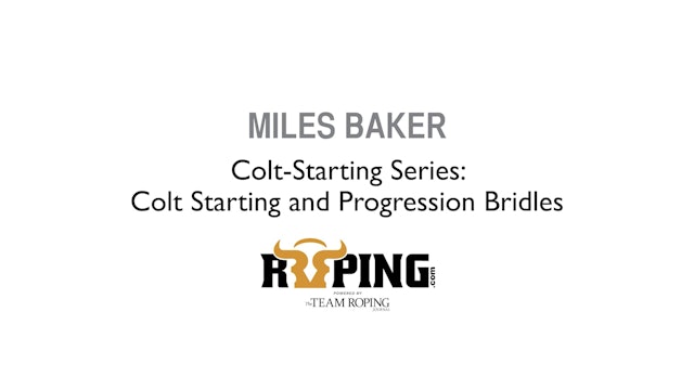 Colt-Starting Series: Colt Starting and Progression Bridles